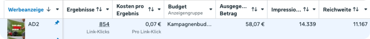 Auszug Meta Ads Manager